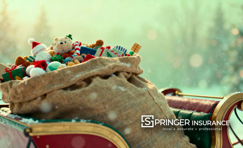 Santa's bag of toys
