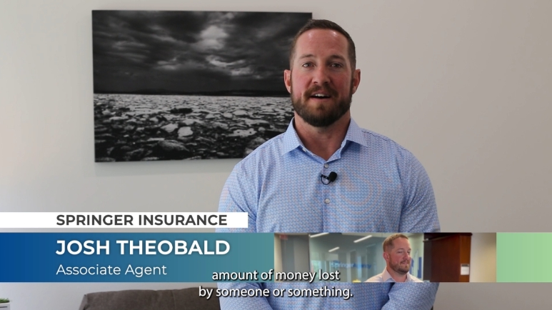 What is a Loss insurance lesson video