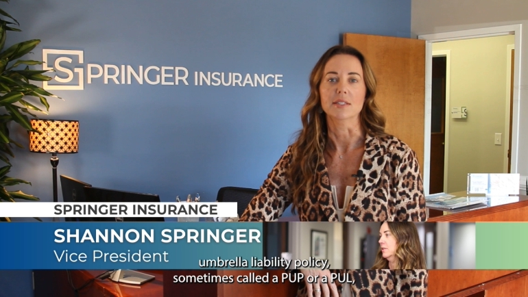 Umbrella Liability insurance lesson video
