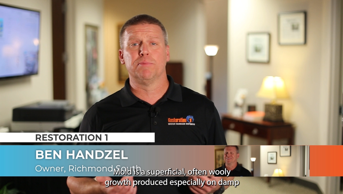 Homeowners insurance video: Mold
