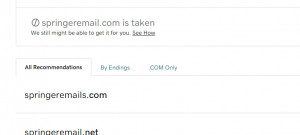 Screen Grab of our domain Registration