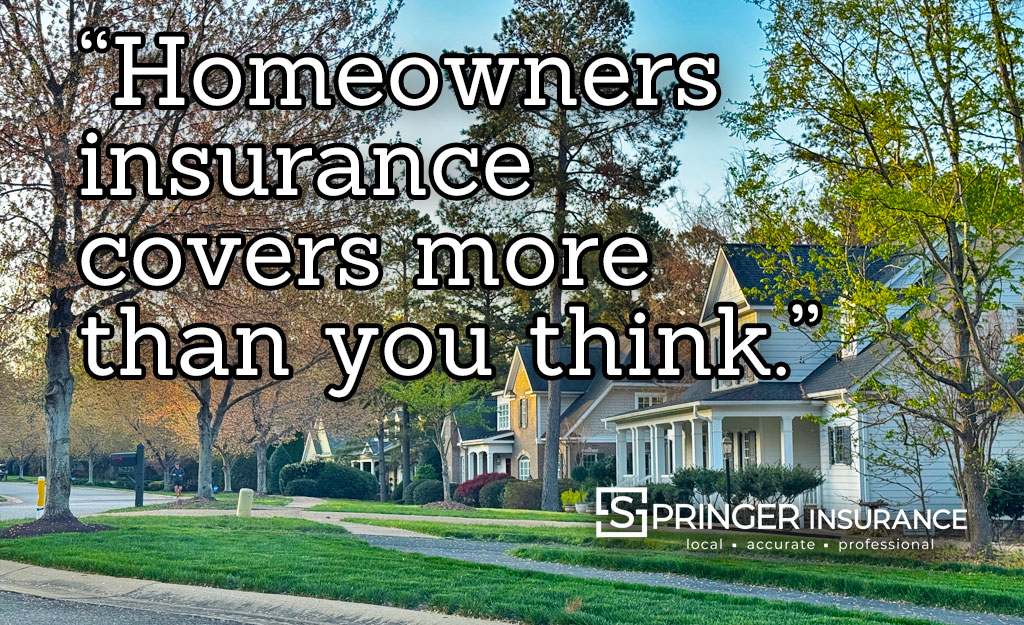 Beautiful homes in Founders Bridge Midlothian